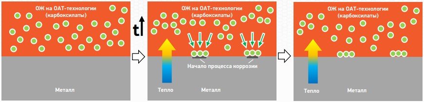 4 (4).jpg 4 (4).jpg